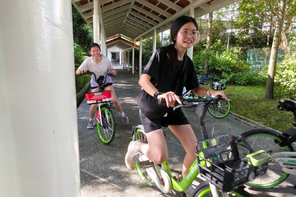 Pause, Realign, Reset: Seven Types of Rest 